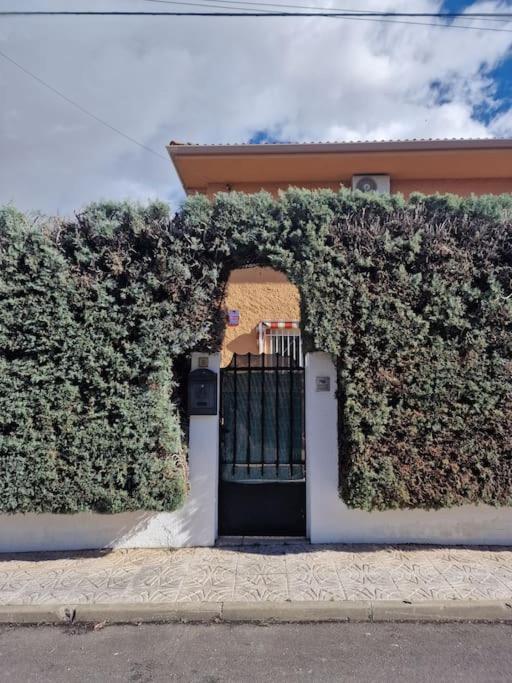 Primera Planta Completa, El Álamo エクステリア 写真