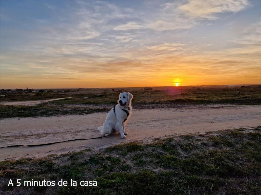 Primera Planta Completa, El Álamo エクステリア 写真